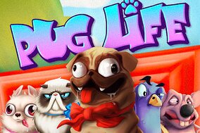 Слоты с собаками: Pug Life